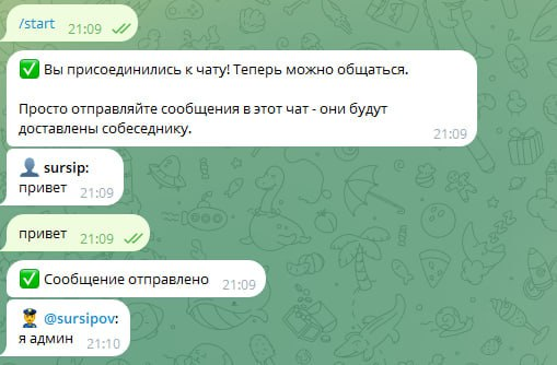 AnonChat — анонимный диалог двух участников